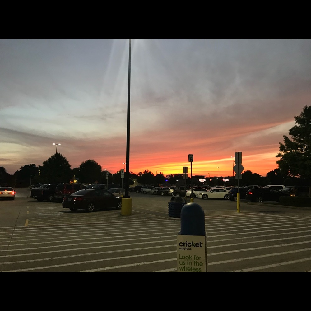 Meet your Posher, Serenity